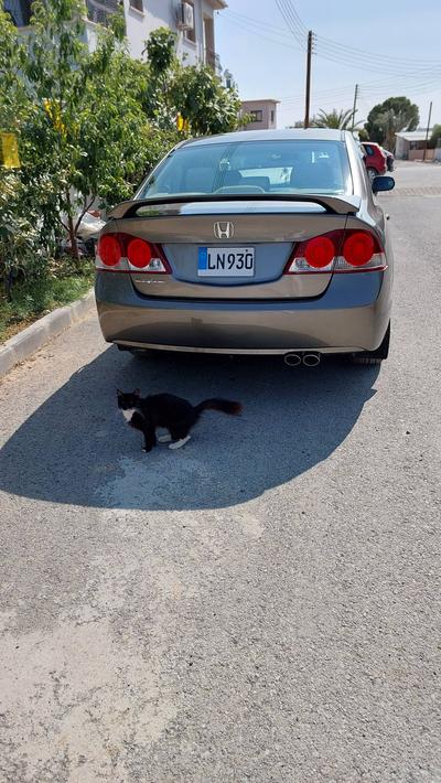 Honda Civic — 4
