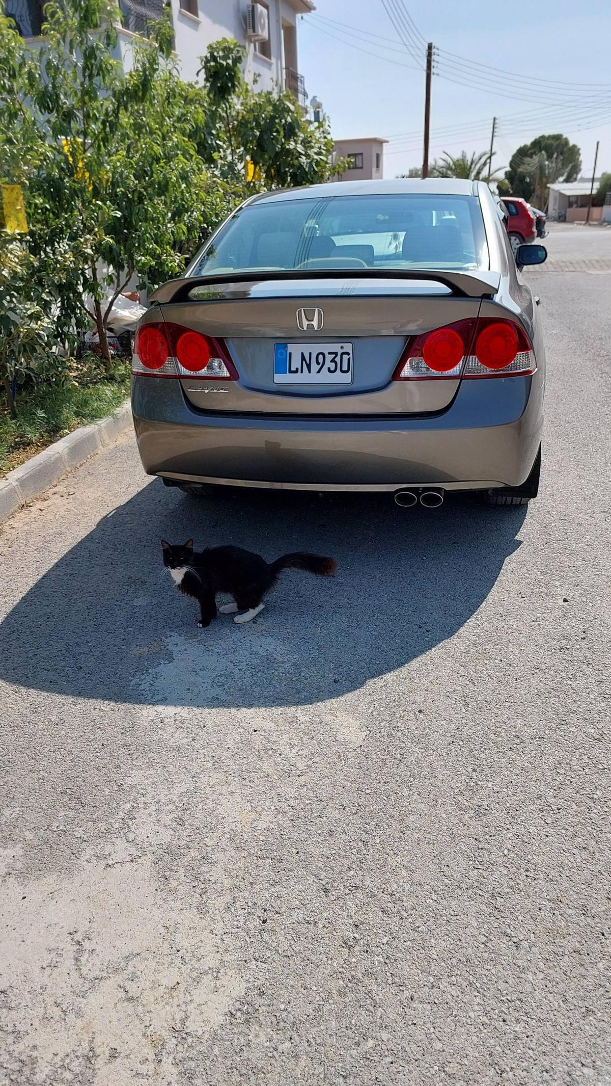 2006 Honda Civic 4