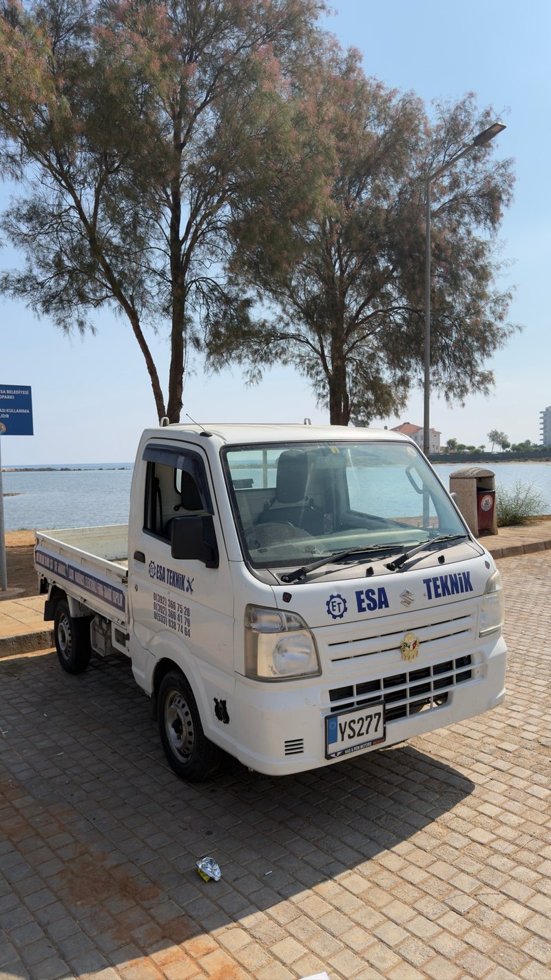 Suzuki Carry — 4