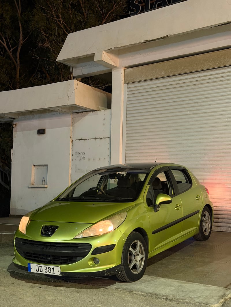 Peugeot 207 — 3