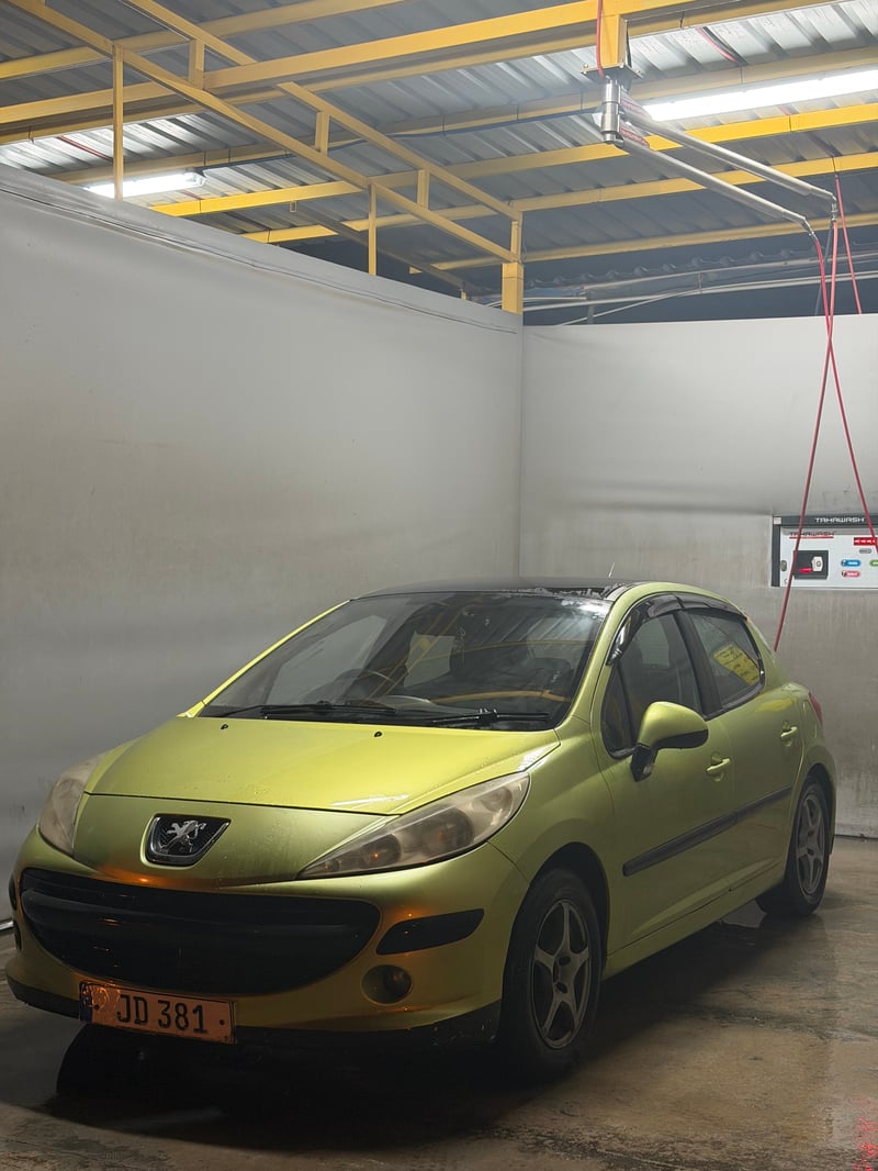 Peugeot 207 — 9