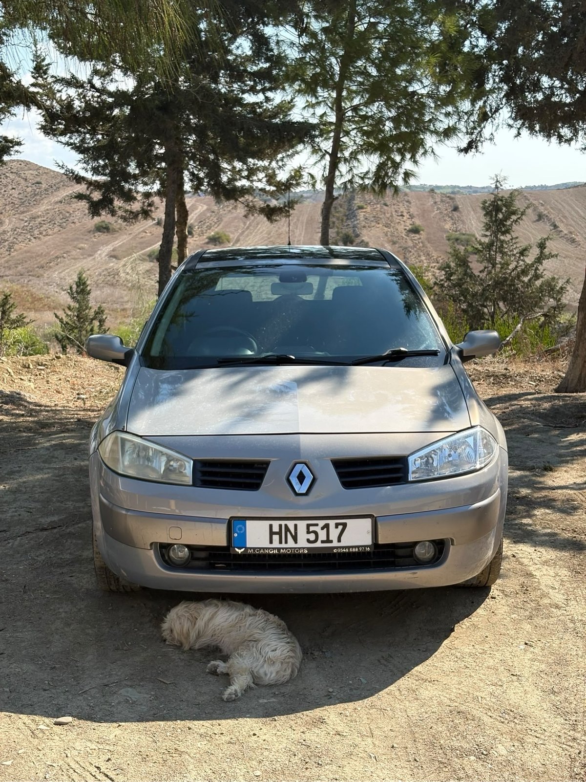 2004 Renault Megane 6