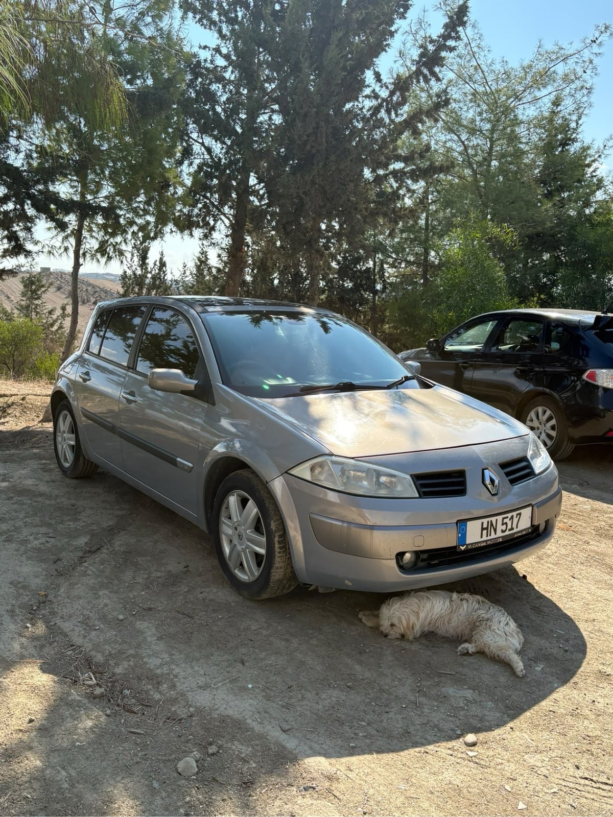 2004 Renault Megane 9