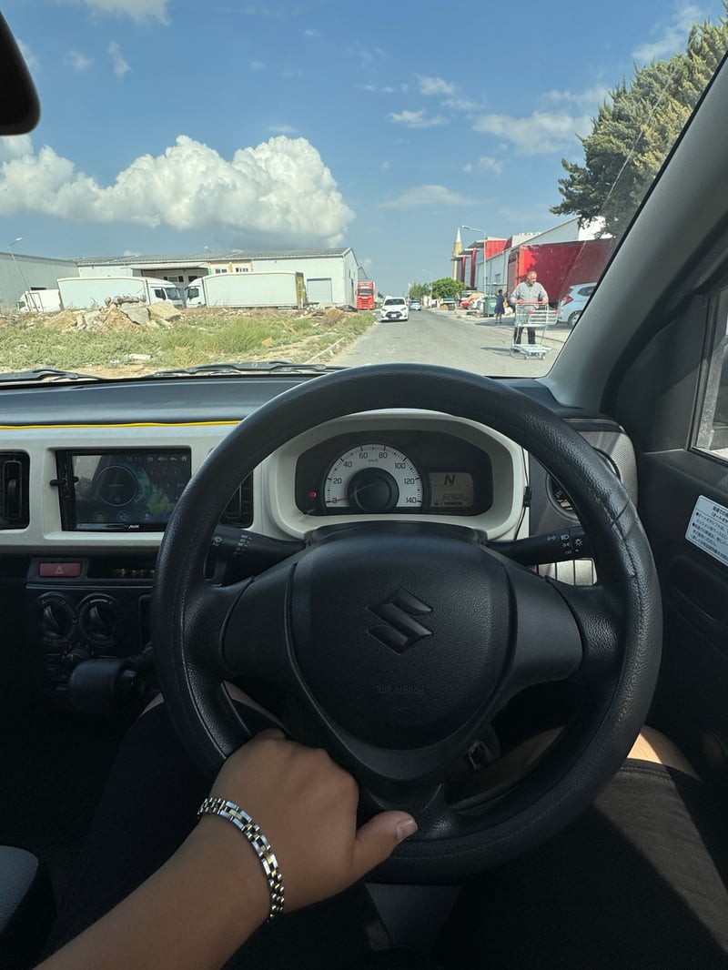 Suzuki Alto — 5