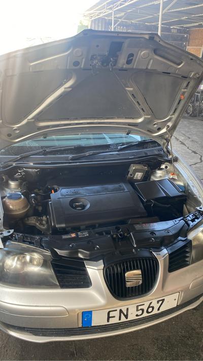 Seat Ibiza — 3