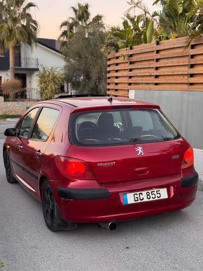 Peugeot 307 — 4