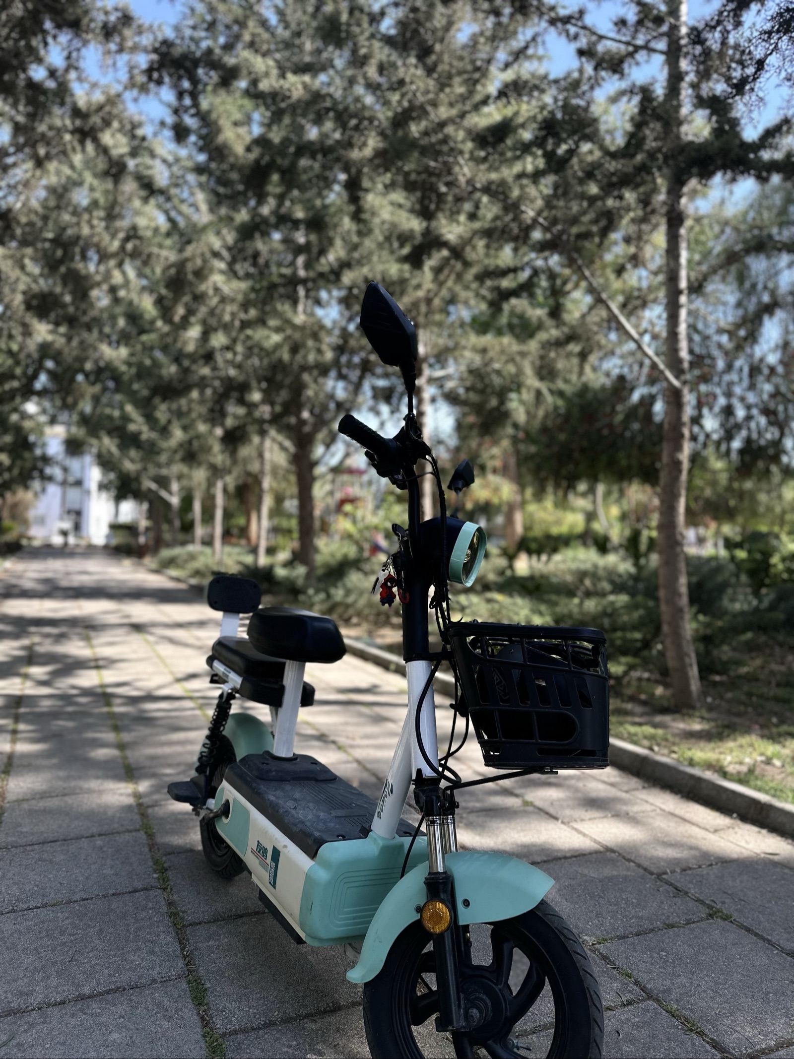 Youge Bike 2026 Satılık İkinci El - Thumbnail 5