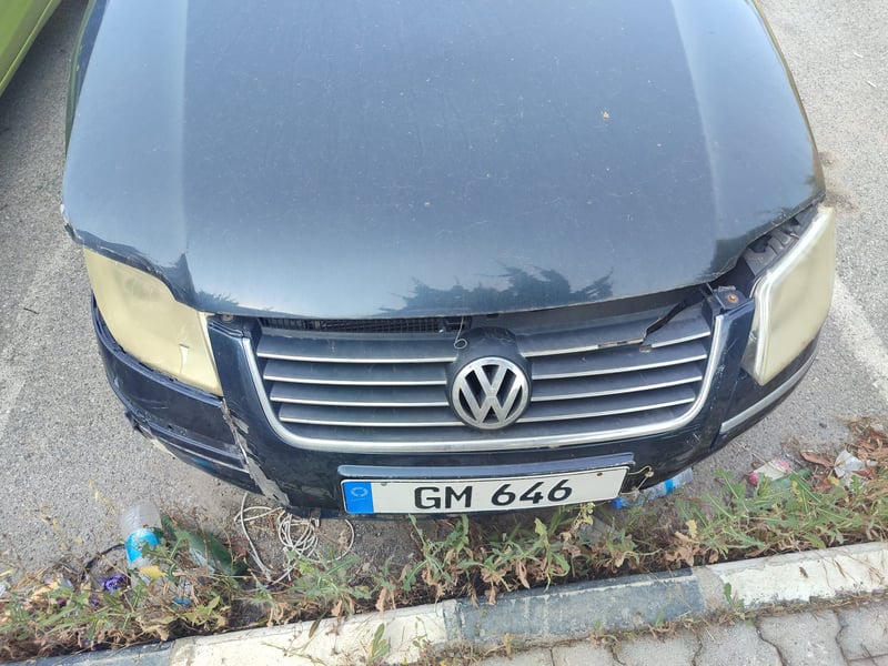 Volkswagen Passat — 5