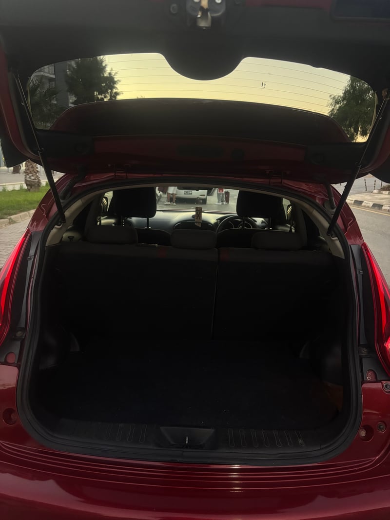 Nissan Juke — 8
