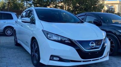 Nissan Leaf — 3