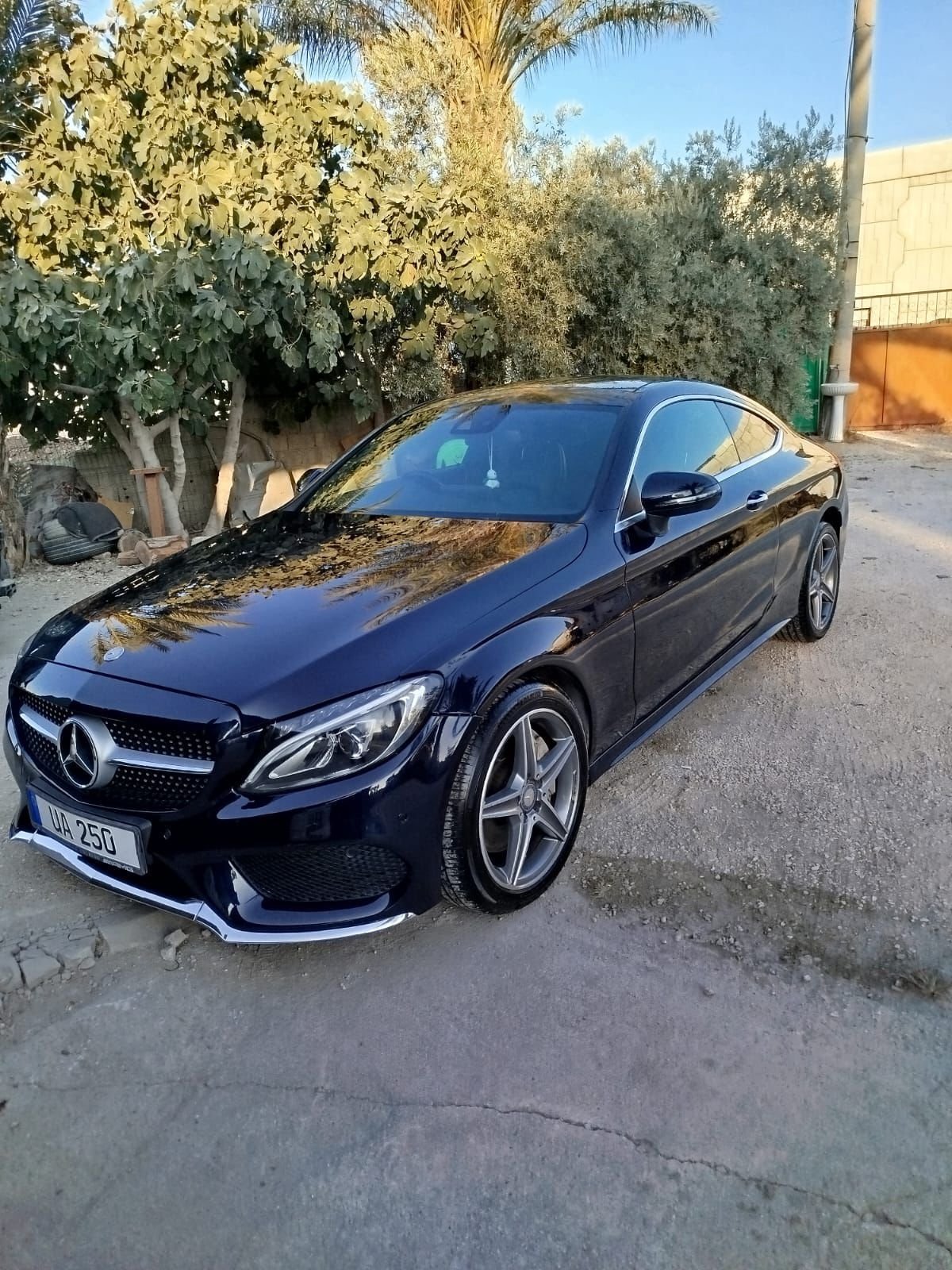 2017 Mercedes-Benz C 250d 2