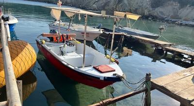 Alesta Marine Fiberglass — 1