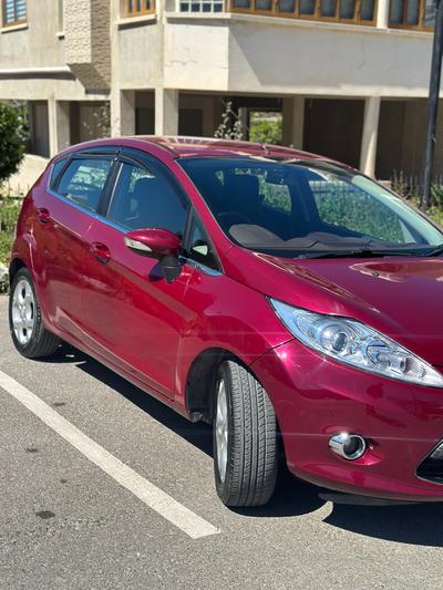 Ford Fiesta — 10