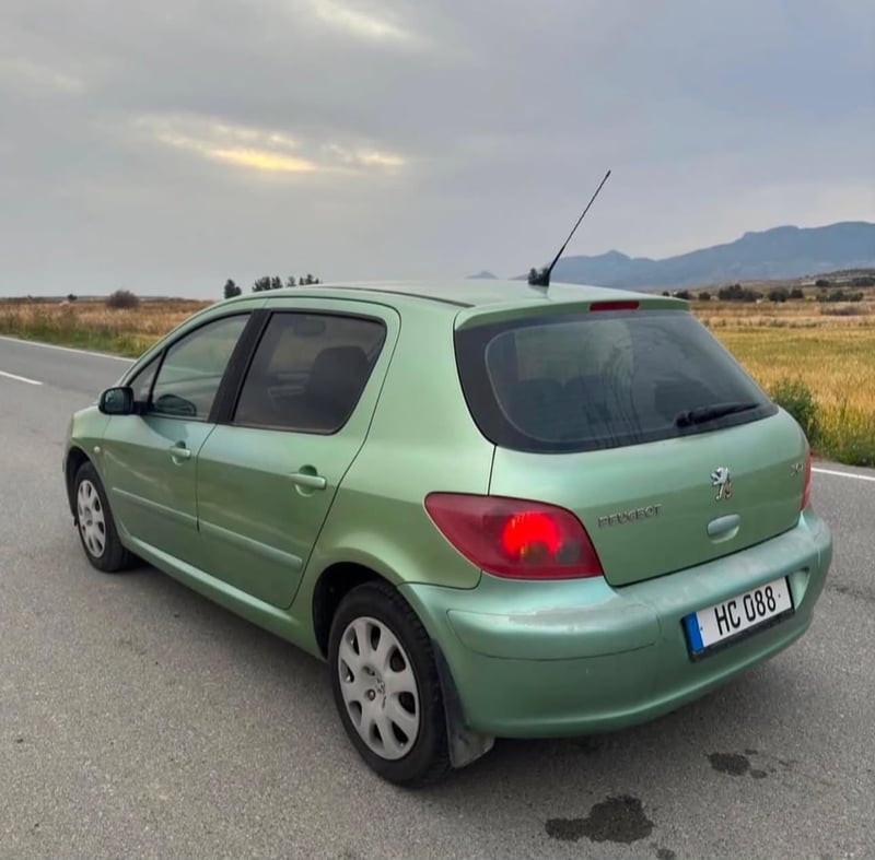 Peugeot 307 — 3