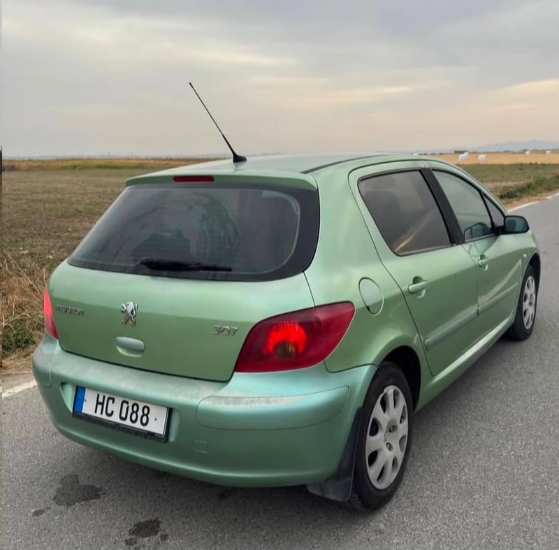 Peugeot 307 — 4