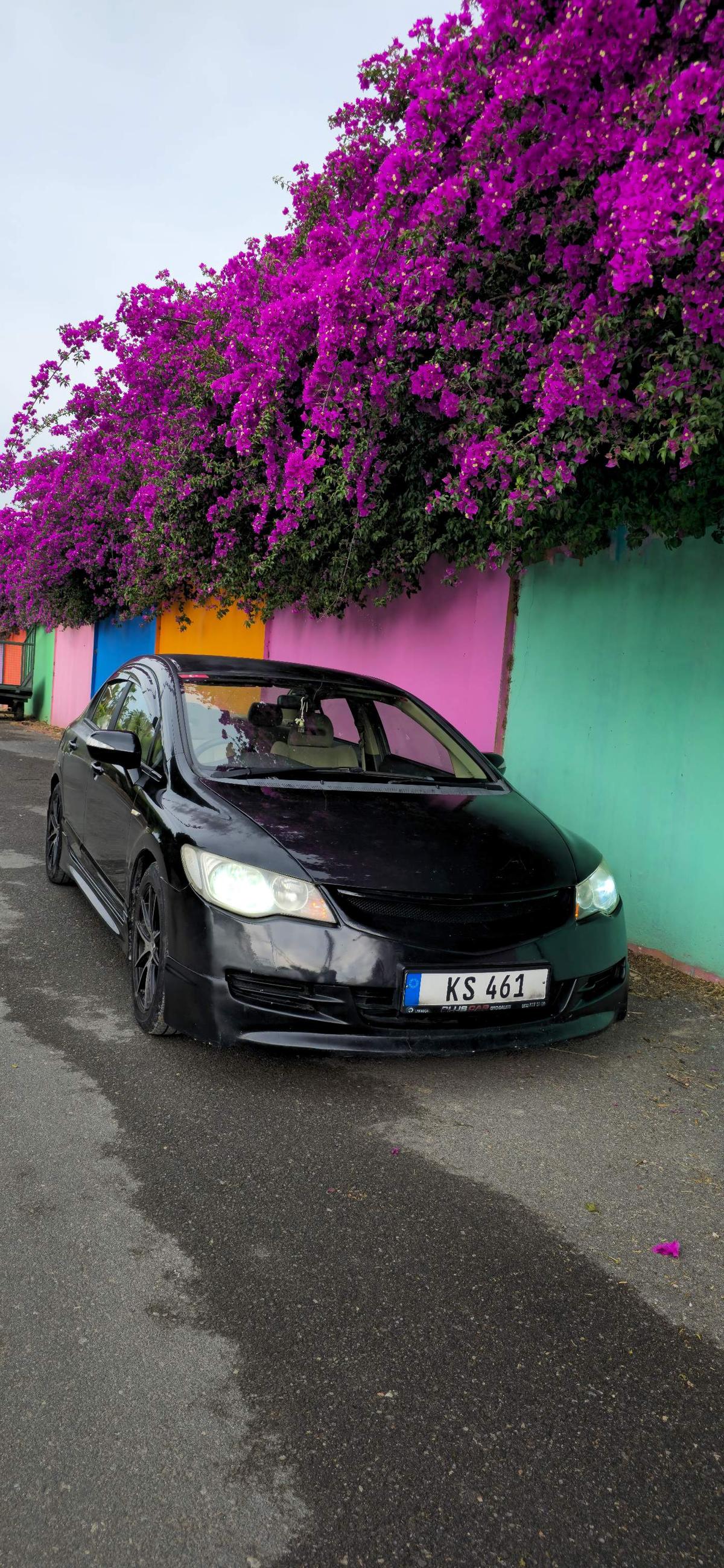 2008 Honda Civic 9