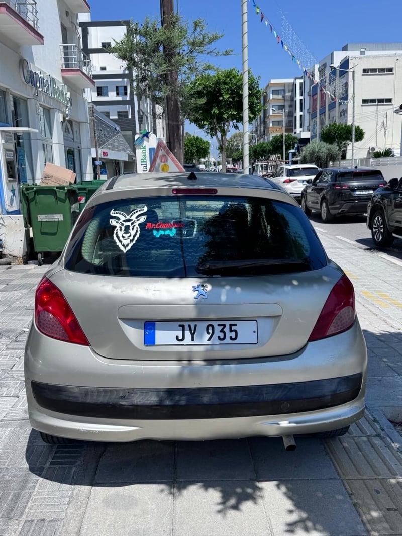 Peugeot 207 — 3