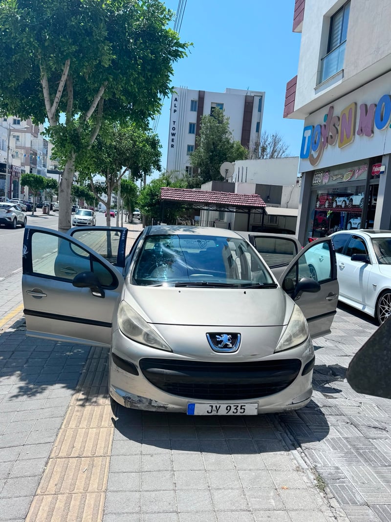Peugeot 207 — 4