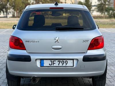 Peugeot 307 — 5