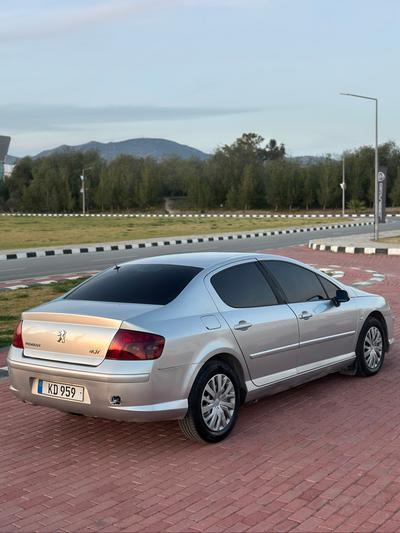 Peugeot 407 — 4