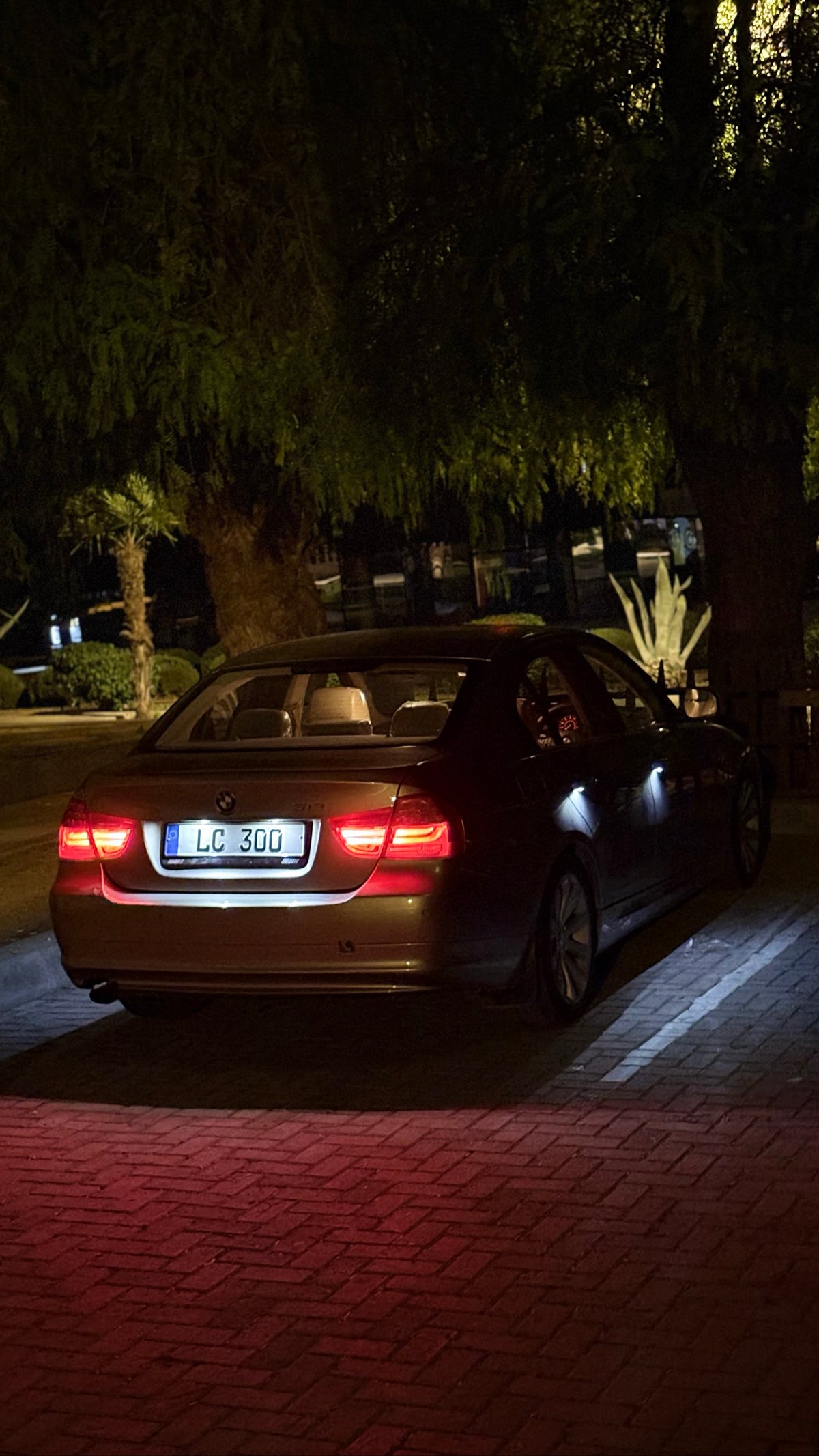 2010 BMW 318i 5